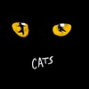 CATS The Musical