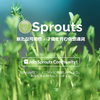 Sprouts(SPRTS)をデスクトップウォレットでPOSマイニングする