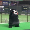 くまモン　東京ドームに出没