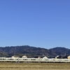 第1837列車　「　参拝臨に充当された201系を青空バックで狙う 2022・正月 桜井線紀行その3　」