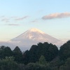 今朝の景色