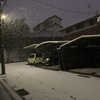 高知市　積雪　2022年12月23日