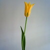 木曜定休日
