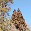巨大地震に備えたいが余裕（お金）がない