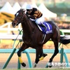 占いだけで競馬を予想し当てるシリーズ〜有馬記念編〜