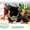 揃って誕生日を迎えられました