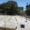 阪神西宮｜六湛寺公園のお手入れされている養生中の芝生