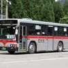 越後交通 / 新潟200か ・517 （元・東急バス）