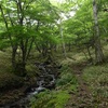 奥秩父・雁峠～雁坂峠