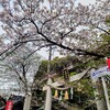 富部神社　春の景色