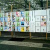 八尾市会議員選挙、八尾市長選挙