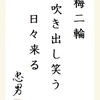 梅二輪吹き出し笑う日々来る