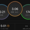 30kmは断念