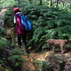 リトル比良登山