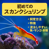 スカンクシュリンプの特徴と飼育ガイド
