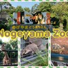 Nogeyama Zoo for the first time