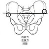 仙骨の様子を診るためには誤解をぬぐうために必須なこととは、仙骨にあいた８つの神経の出る腔が触診できていることです