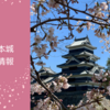 【長野県松本市】2025年松本城の桜開花情報！夜桜会・桜並木光の回廊のライトアップはいつからいつまで？