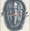 【調査】大河ドラマで観たい時代は？