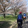 春の旅路のお見送りと、桜の花びら舞うライド