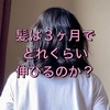髪は三ヶ月でどれくらい伸びるのか？