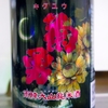 菊勇 雨降大山純米 生酒