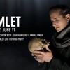 配信観劇その26『ハムレット(Hamlet)』(Stratford Festival, 2015)