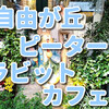 自由が丘 【ピーターラビットガーデンカフェ】が10周年を迎えました。