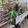 半年前に伐採した庭の木が片付けやすく腐ってた