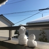 ４年ぶりの大雪