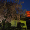 厳島神社のライトアップ