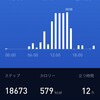 11月の一週間で100捨て2日目、すでに捨てるものが見当たらない(爆)