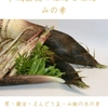 平成最後の晩ごはん