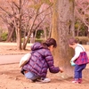 1歳3カ月の公園へ行く頻度・時間帯・遊び方まとめ