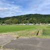 たまには自然に触れたい