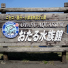 水族館探訪2015春 前篇 ～サカナ時々ムシ～