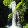 大阪府箕面市箕面公園１付近