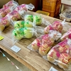 大長園さんの「あきづき」をギフト送付しました