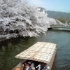 十石舟と桜