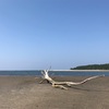 私はアダルトチルドレン⑤