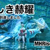 奇しき赫耀 〜 PS5:MHRise #015