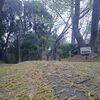湘子の芳醇の4月を読む