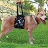 Lift Harnesses for Big Dogs