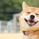 お金稼ぎ重視