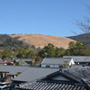 冬の奈良散歩その４