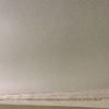 最高レベル