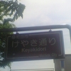 町田市　けやき通り Keyakidori Machida City