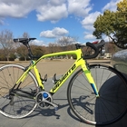 Deda Newton Shallow デダ ニュートンシャロー - ゆるぽたデベロッパー