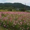 2017年10月18日(水) 海住山寺から、山城・三上山(さんじょうさん)へ、ぶらり散歩