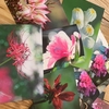 写真展に出す作品選び